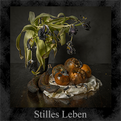 stilles Leben